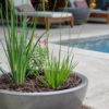 concrete backyard planter