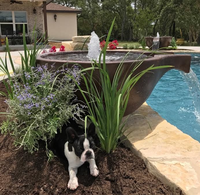 concrete water bowl